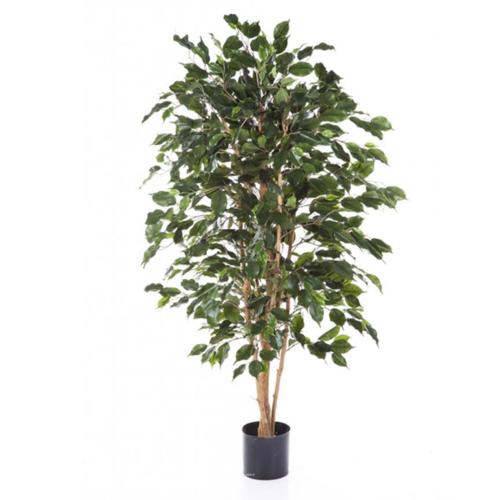 Ficus Exotica Artificiel En Pot Tronc Naturel Du Site Artificielles