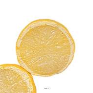 Demi Citron jaune artificiel X 3 Plastique soufflé D 40x35 mm