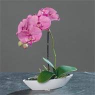 Orchidée factice tissu gaufré pot Résine Blanc ovale H 28 cm Rose-crème